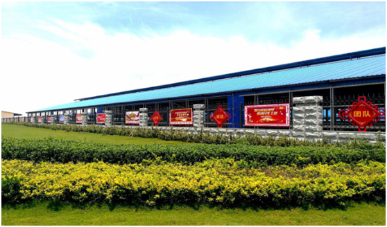 “ 看听谈查 ”板 找短板  党建巡查促提升——开云（中国）集团党委开展基层党建工作巡查
