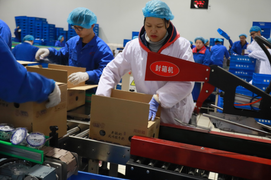 党员带头赴一线  助力春节保生产—开云（中国）别样“生产突击队”助力车间生产