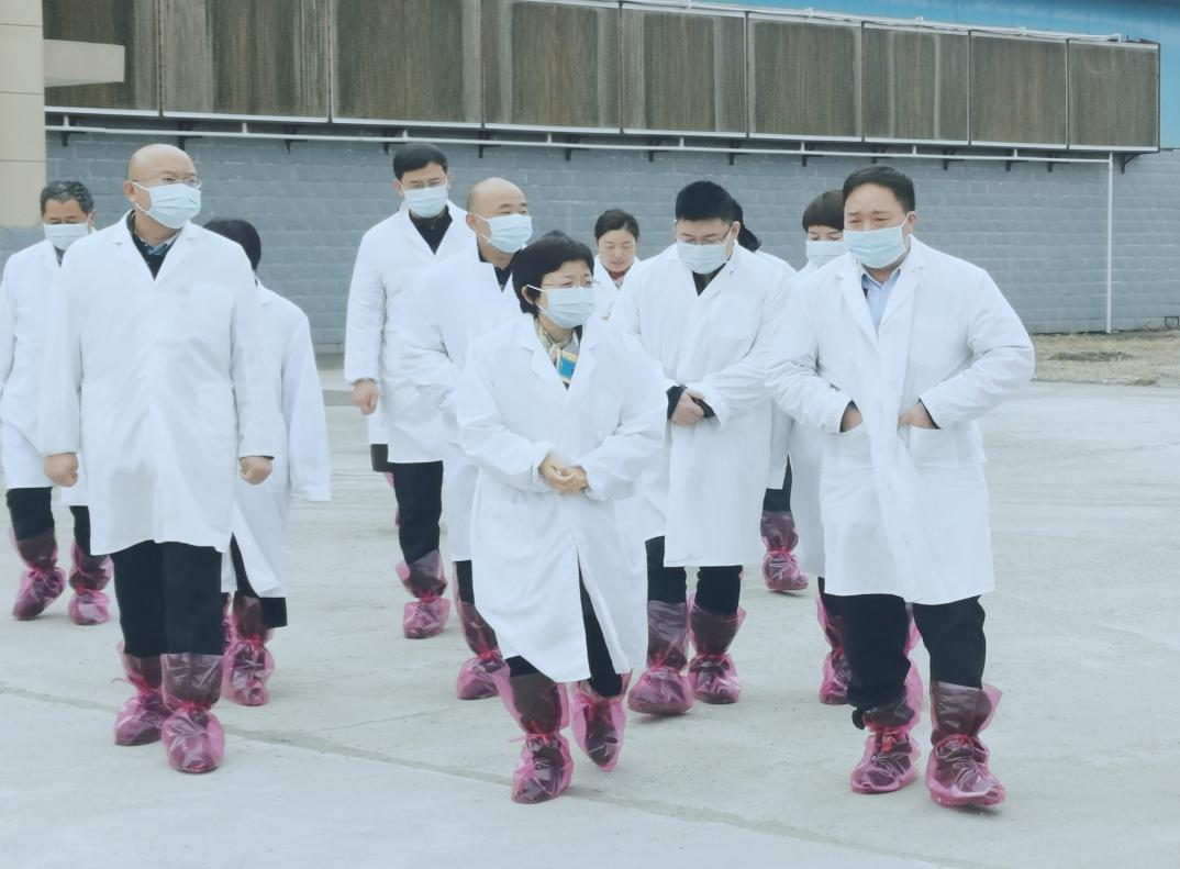 河南省郑州市人民政府副市长李凤芝一行莅临开云（中国）河南瑞亚参观调研