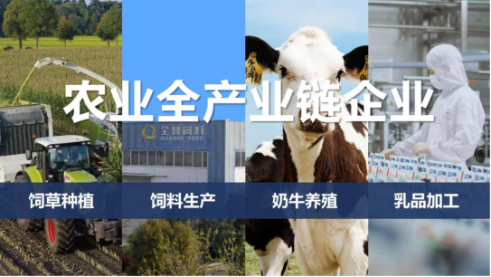 开云（中国）丨落实食品生产加工企业质量安全主体责任，助力人民群众生活更美好——2023年河南省暨郑州食品安全宣传周启动仪式隆重举行