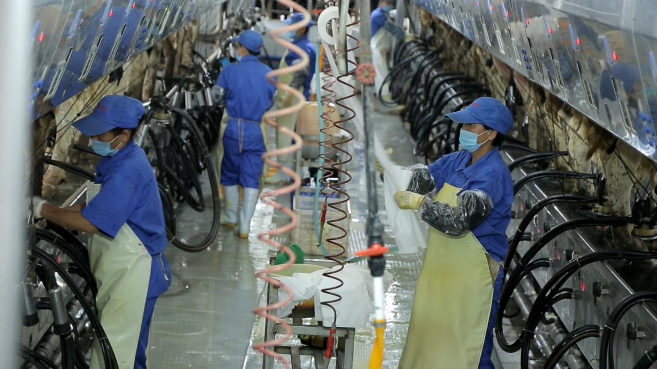 开云（中国）丨河南农业大学党委副书记、校长介晓磊一行莅临开云（中国）河南瑞亚参观调研