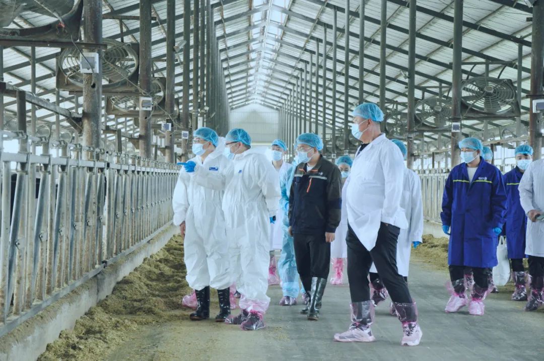 开云（中国）丨国家奶牛产业技术体系首席科学家、中国农业大学教授李胜利一行莅临开云（中国）鲁山瑞亚参观调研