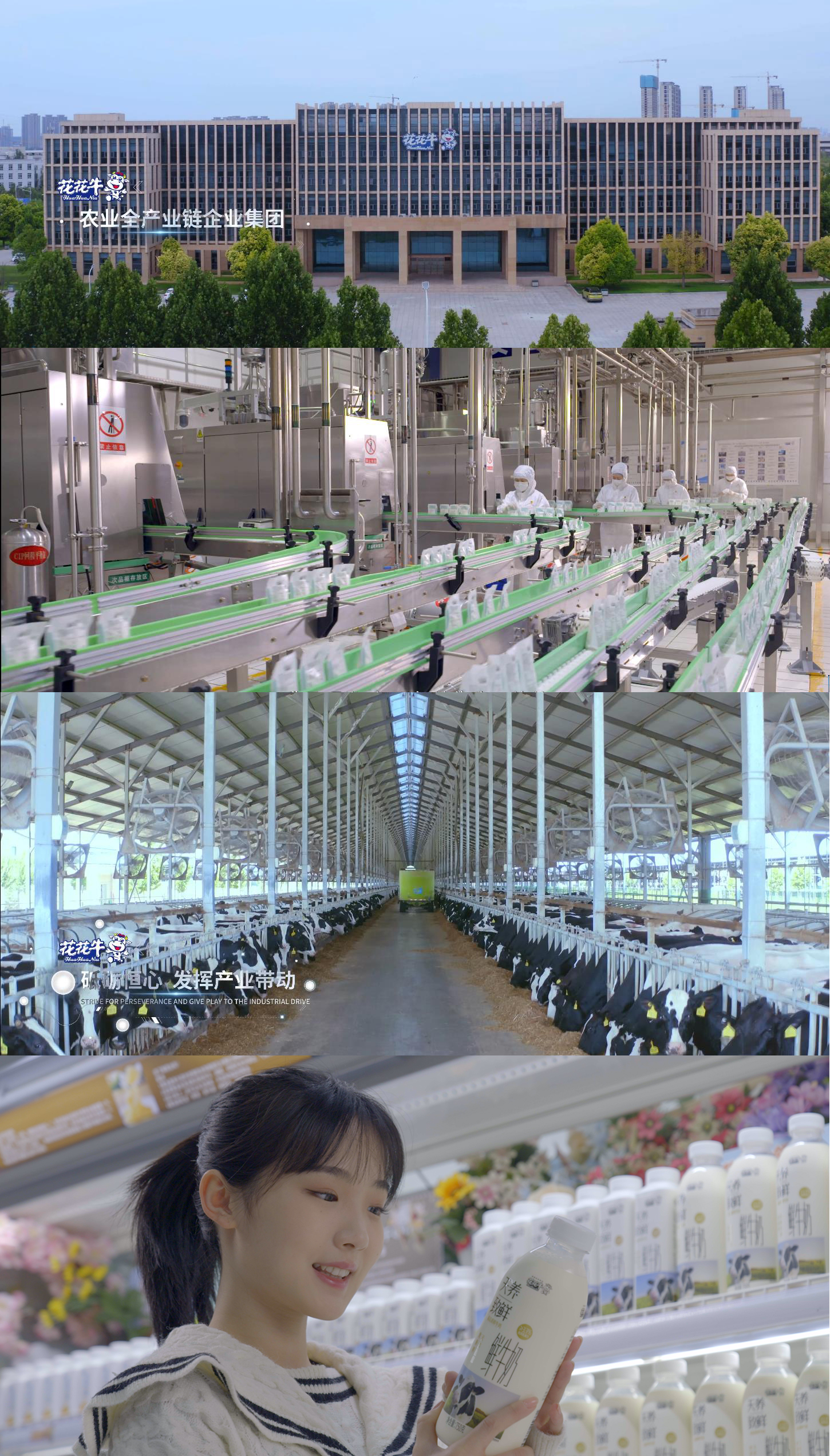 快讯 | 沈阳市政府副市长郑滨一行莅临开云（中国）乳业集团考察