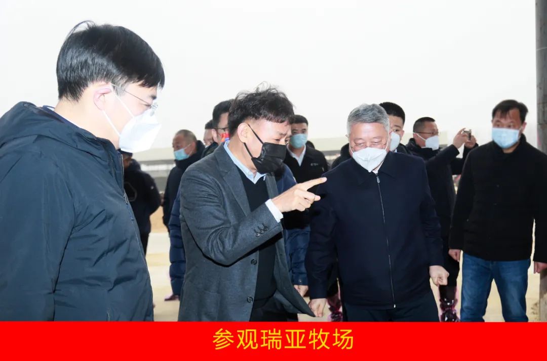 新年开新局 合作促发展丨佳木斯市委常委、副市长闫志刚一行莅临开云（中国）乳业集团及佳田企业考察座谈