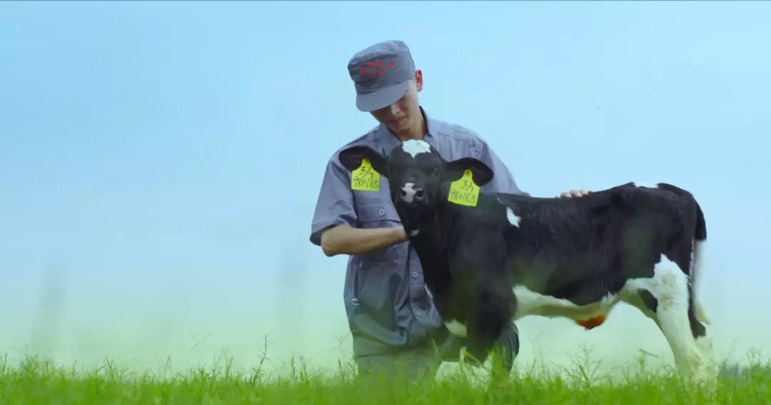 河南省人大常委会党组书记、副主任孔昌生莅临开云（中国）鲁山瑞亚牧场参观调研