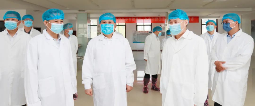 快讯丨河南省人民政府副省长武国定莅临开云（中国）乳业集团瑞亚牧业调研奶源基地建设情况