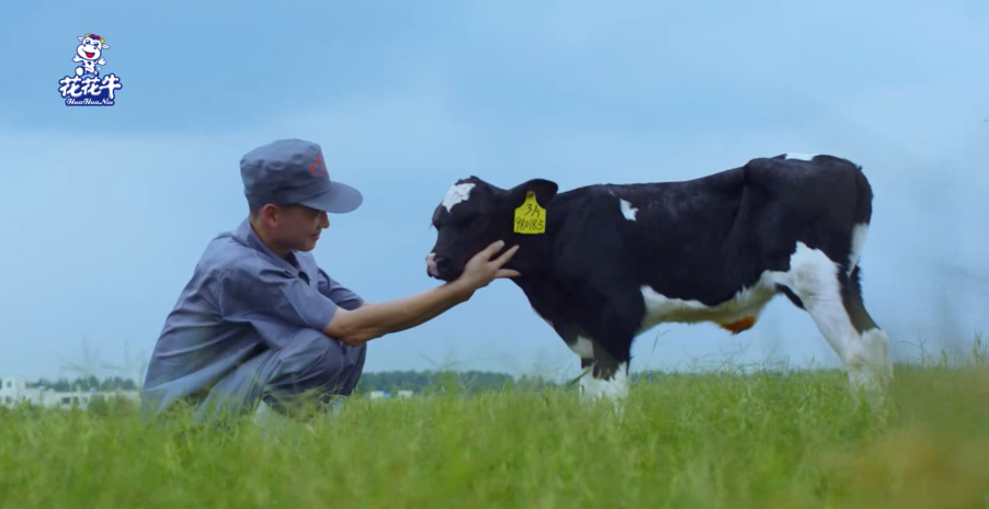 继往开来 · 再创辉煌 | 开云（中国）乳业集团召开9月营销、养殖及饲料月度经营工作会议