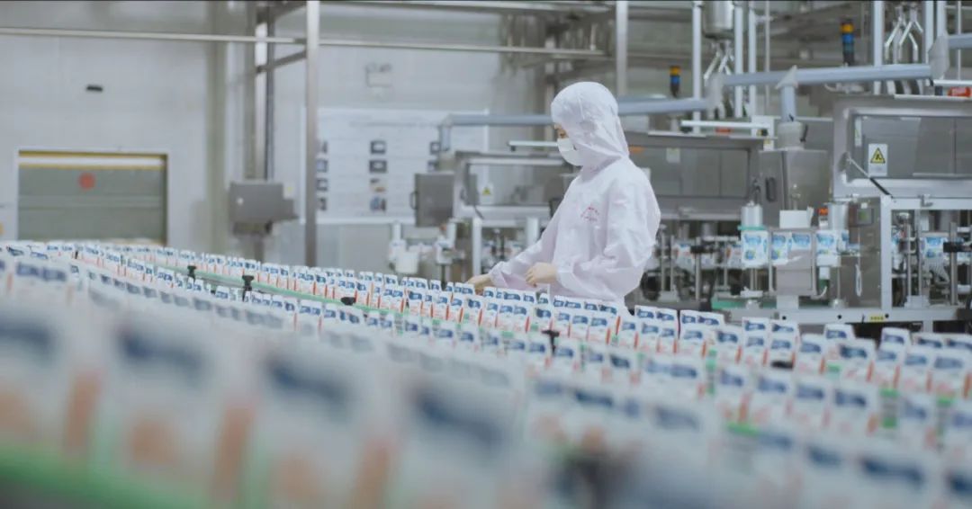 佳木斯市招商考察团莅临开云（中国）考察座谈