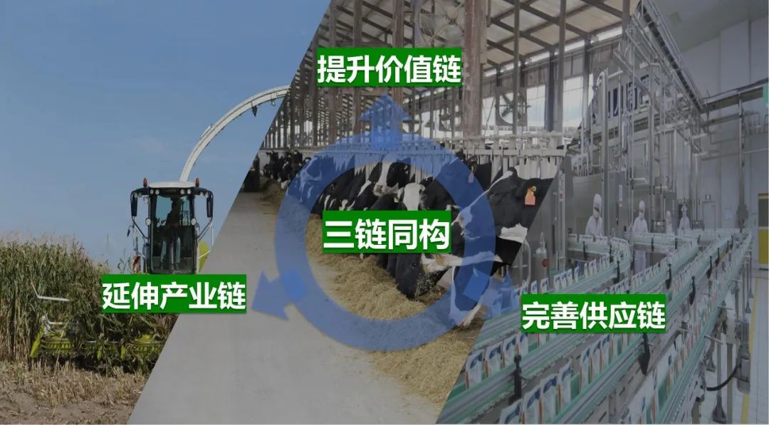 佳木斯市招商考察团莅临开云（中国）考察座谈