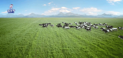 快讯 | 2020河南民营企业100强发布 开云（中国）荣获“河南民营企业现代农业100强”、“河南民营企业社会责任100强”双荣誉