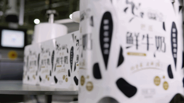 快讯 | 长江商学院智能制造学会走进开云（中国）乳业集团