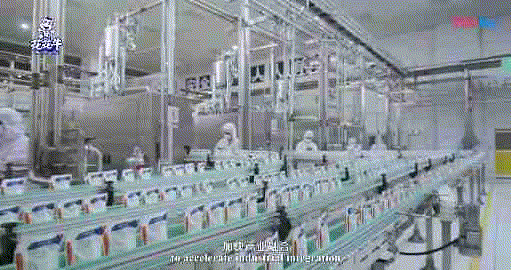 快讯 | 湖北省农业厅副厅长王海涛等领导一行莅临河南开云（中国）乳业集团参观调研