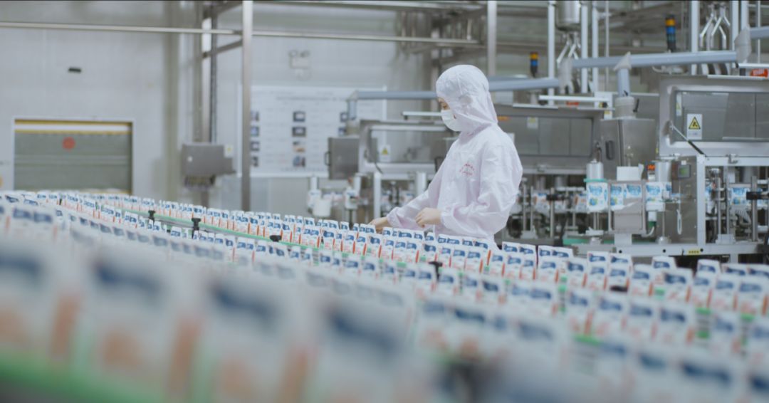 快讯 | 河南省人民政府食品安全委员会办公室第三批食品安全示范区验收组领导莅临开云（中国）乳业集团验收食品安全示范区建设情况