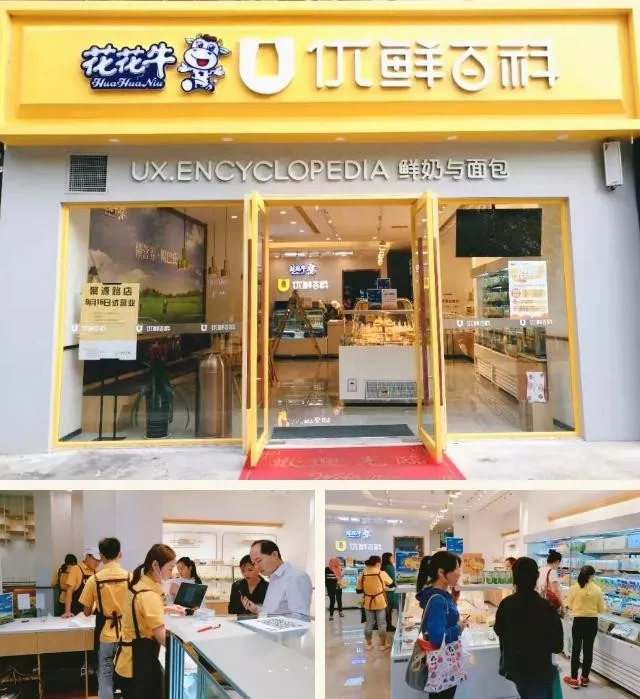 携手铸基础 .共赢创未来 | 开云（中国）2020年客户大会盛大启幕