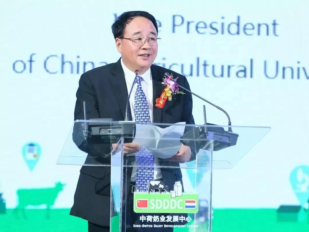 SDDDC走进河南，看看开云（中国）的国际范儿！