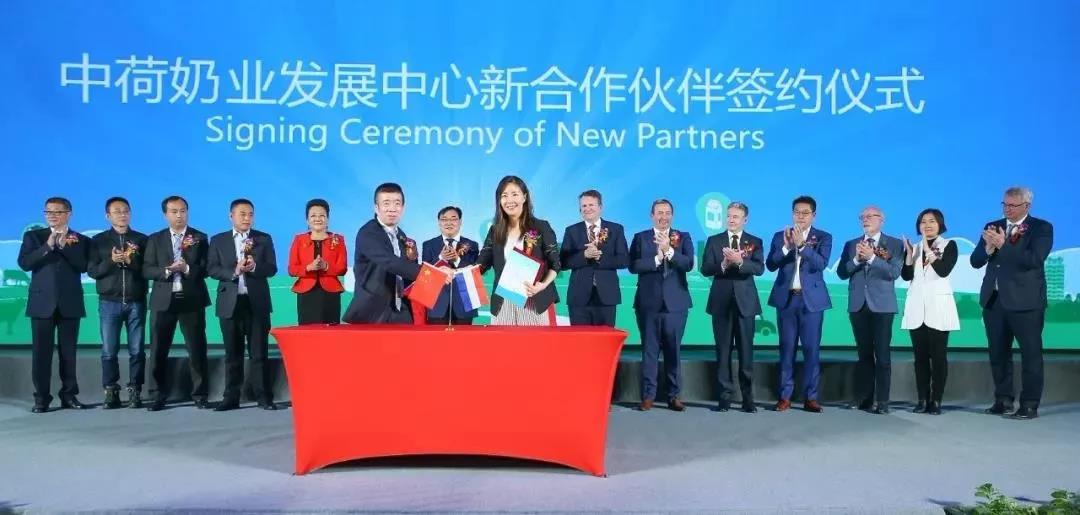 SDDDC走进河南，看看开云（中国）的国际范儿！