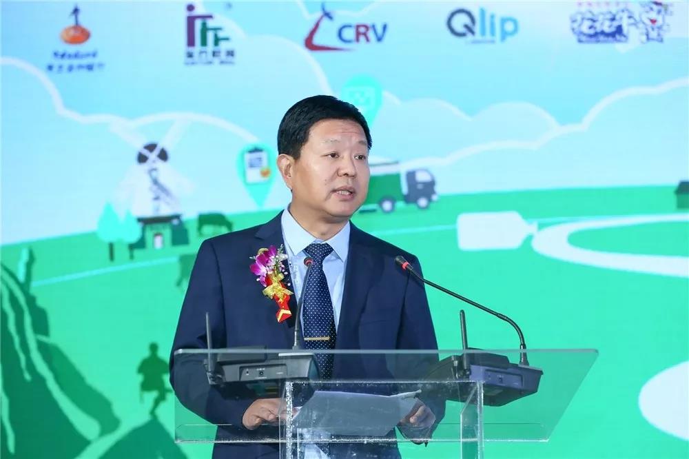 SDDDC走进河南，看看开云（中国）的国际范儿！