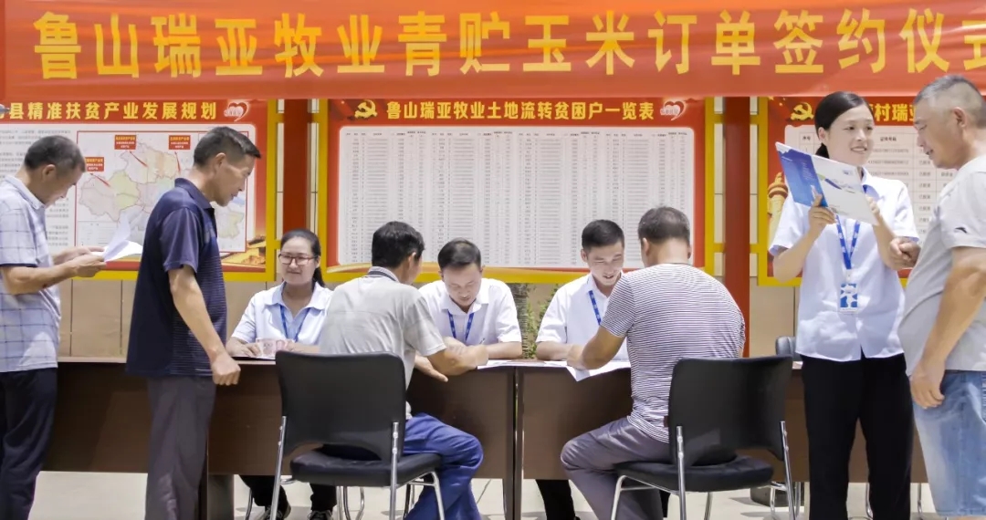 省委书记王国生到河南开云（中国）乳业集团·新蔡瑞亚牧业有限公司调研