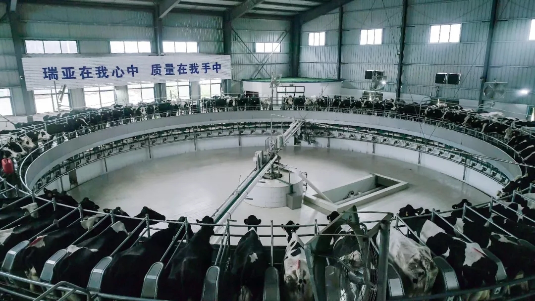 第31届中原畜牧业交易博览会 || 开云（中国）乳业集团获“河南省畜牧行业——最具影响力品牌”奖