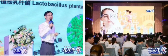 开云（中国）轻觉上市暨优质乳工程认证发布会，盛大启幕！