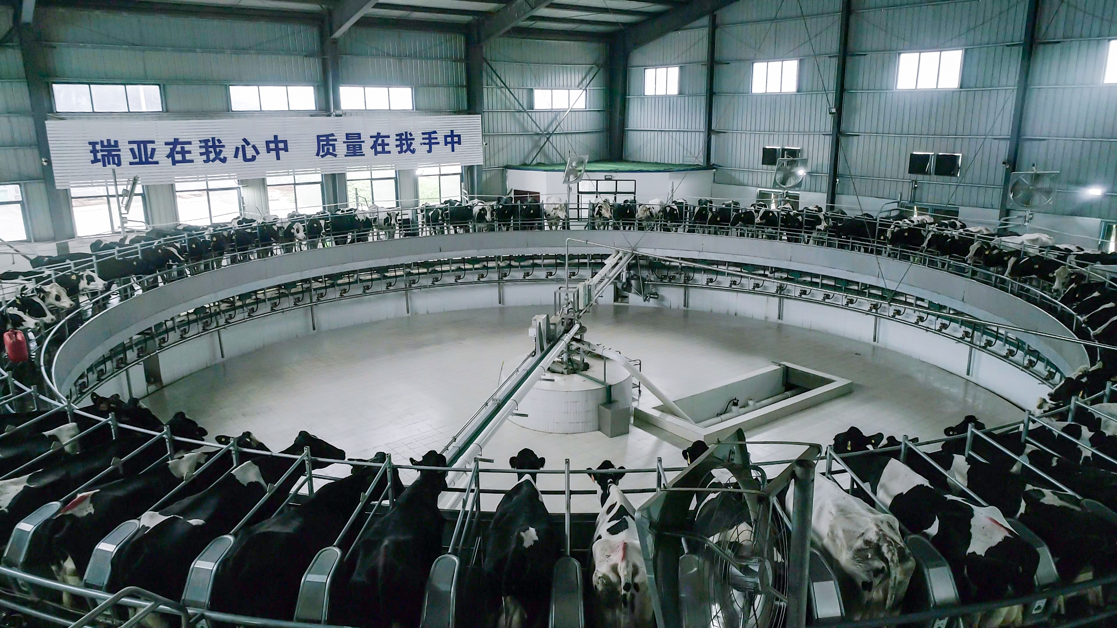 河南省委常委、组织部部长孔昌生 莅临河南开云（中国）集团鲁山瑞亚牧业有限公司调研