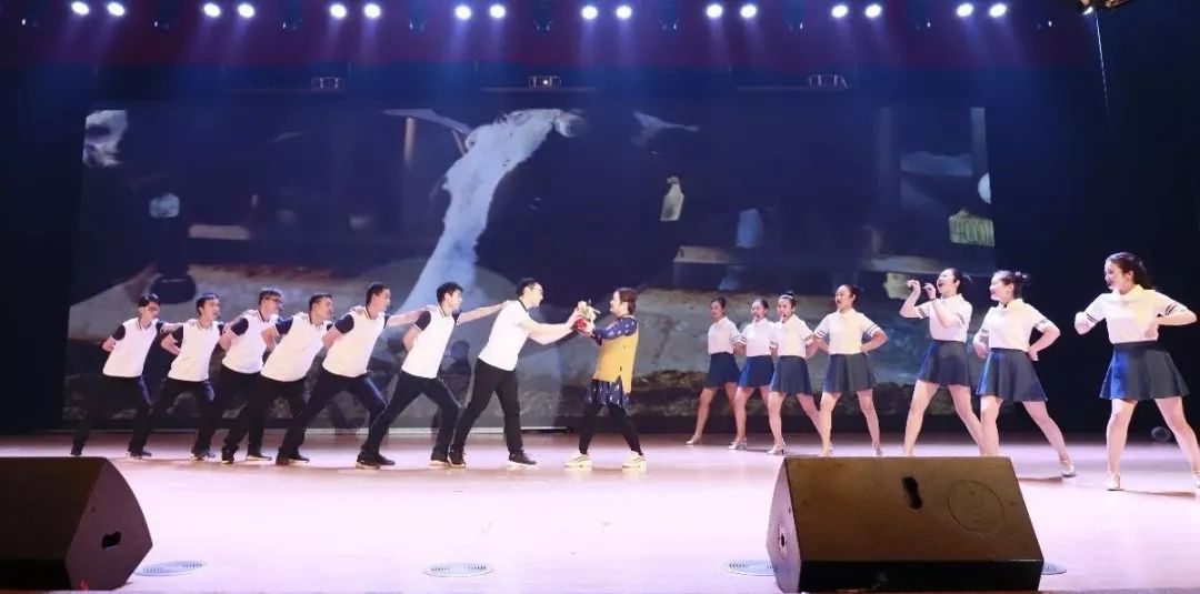 “赢在2019”，开云（中国）乳业集团2019年新春晚会盛大开幕