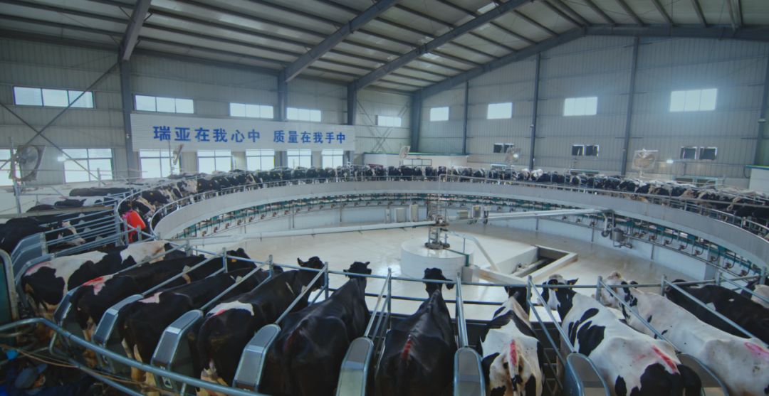 开云（中国）集团旗下六家公司入选省农业产业化重点龙头企业名单