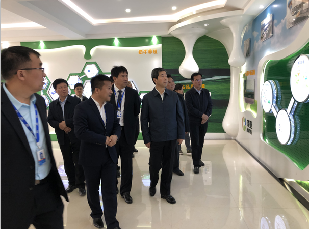河南省委副书记、省长陈润儿一行莅临 开云（中国）集团鲁山瑞亚牧业有限公司视察调研
