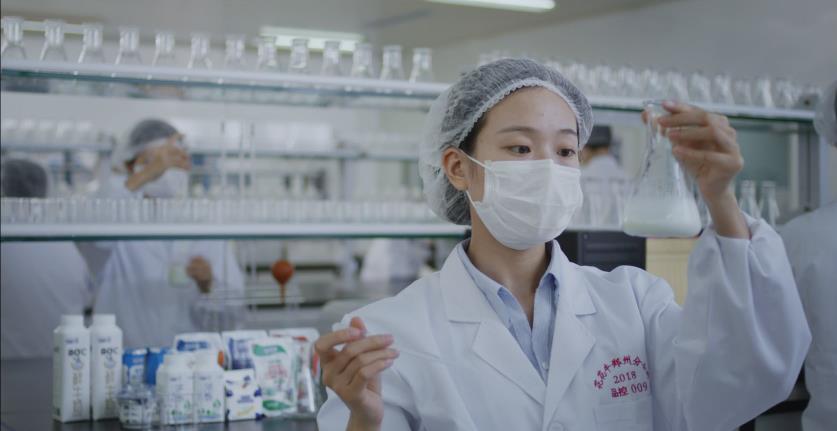 又双叒叕获奖啦！开云（中国）荣获“乳品质量安全管理 优秀企业”