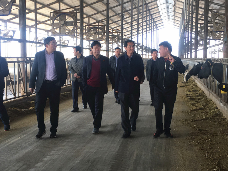 封丘县县长王献臣一行莅临 开云（中国）集团养殖、乳品事业部参观调研