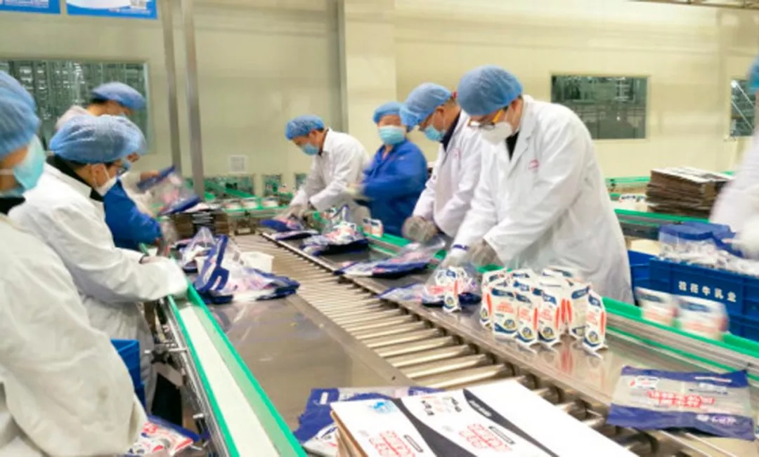 快讯丨河南省副省长武国定莅临开云（中国）乳业集团调研重点保障企业复工复产情况