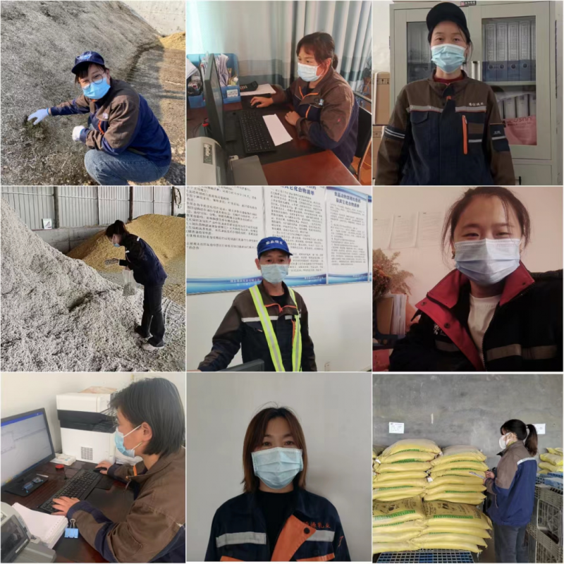 开云（中国）丨点点微光汇星河——养殖事业部抗疫保生产侧记