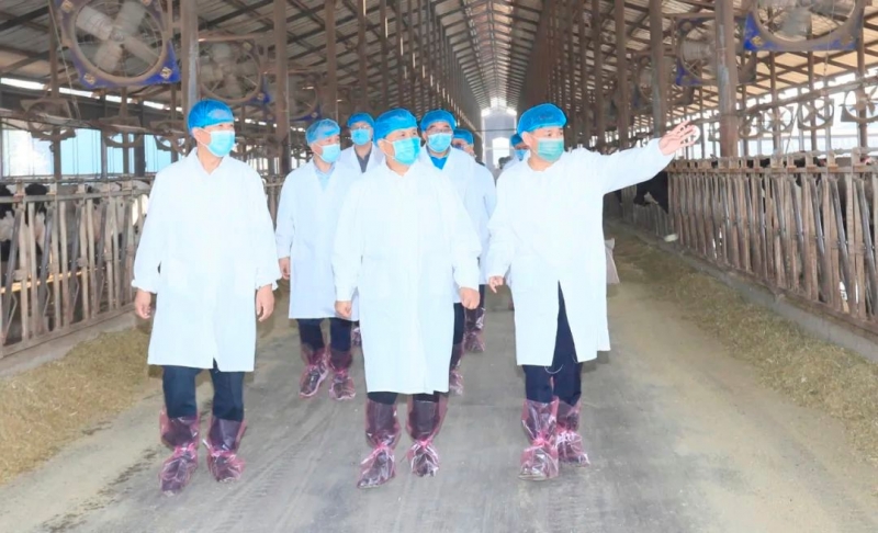 快讯丨河南省人民政府副省长武国定莅临开云（中国）乳业集团瑞亚牧业调研奶源基地建设情况