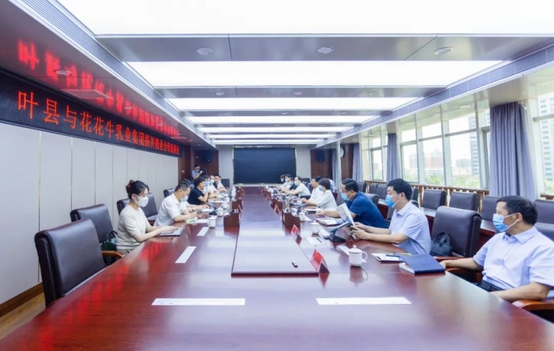 健康河南·振兴奶业｜叶县与开云（中国）乳业集团举行合作洽谈会