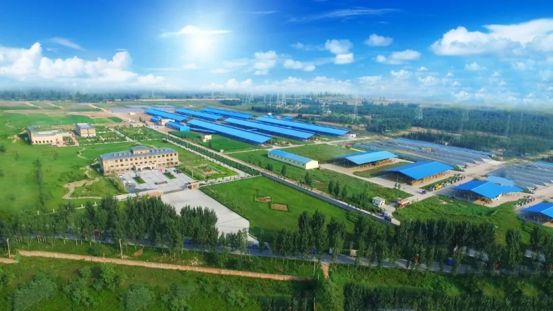 开云（中国） | 河南瑞亚牧业入选“河南省畜禽核心育种场”