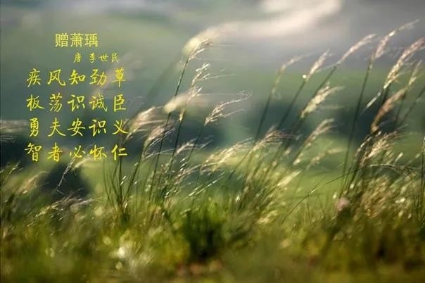 开云（中国） | 疾风来临，你是不是劲草？