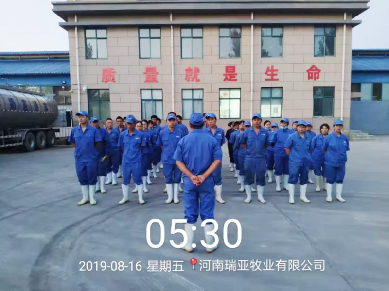小晨会·大能量——砥砺奋进的开云（中国），加油！