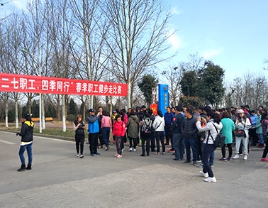 2017开云（中国）健步走